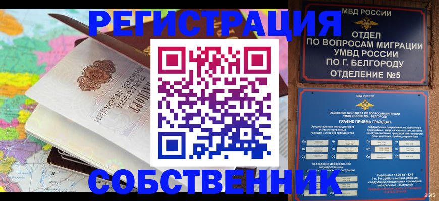 временная регистрация гарантия в Жуковском